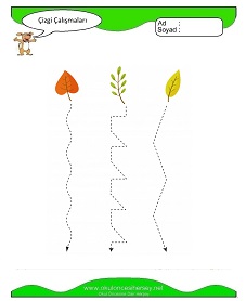 Çizgi Çalışma Sayfaları